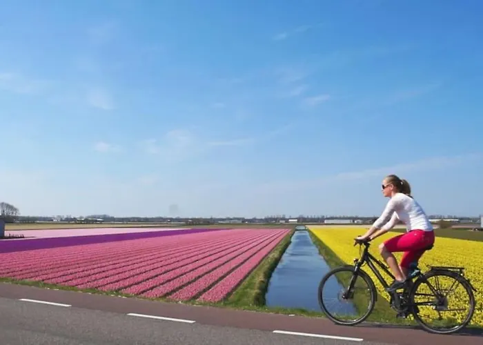 Faya Beachhouse Дом отдыха *